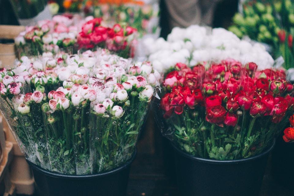 Blumen zum Geburtstag: Mit Bedeutung die richtige Wahl treffen