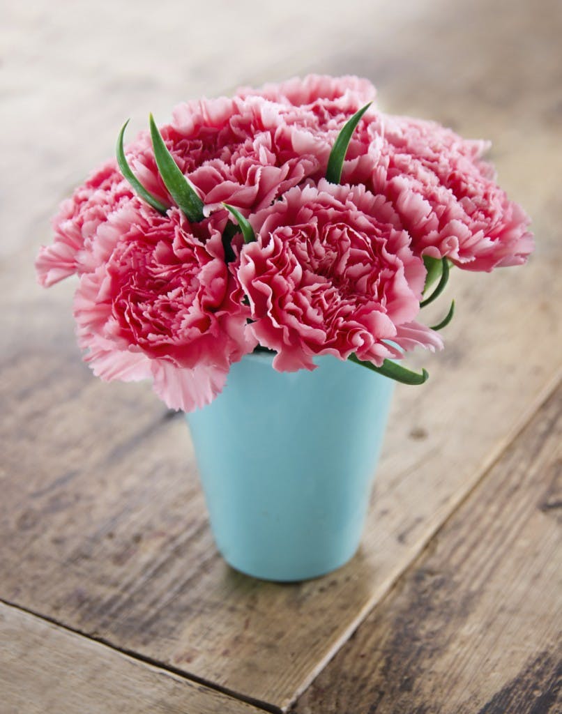 Pink carnations flower bouquet in a blue vase on rustic wooden background