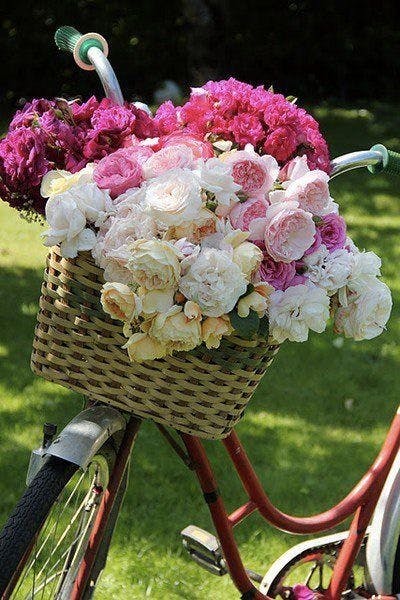 Bicicleta con flores