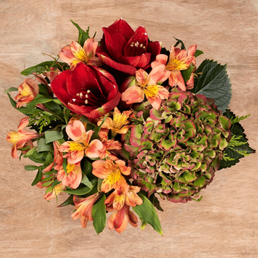 Co znajduje się w kolekcji FloraQueen na jesień 2018?