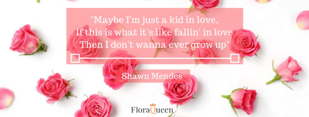 Song Lyric Shawn Mendes