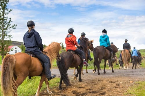 Horseback riding