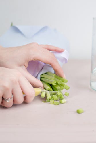 Cutting flower stems