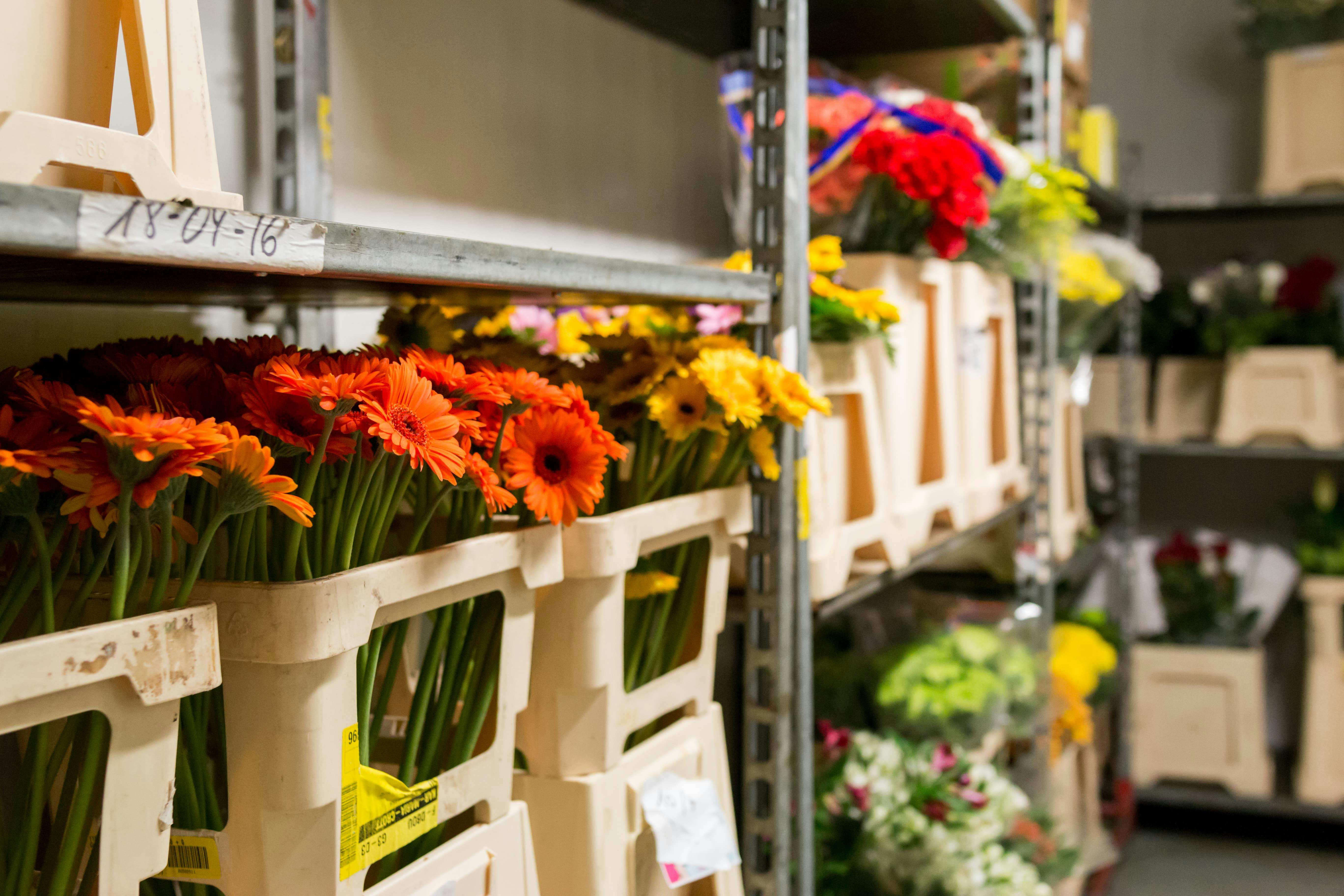 Flowers waiting to be arranged.