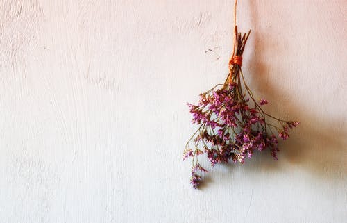 Drying flowers with air