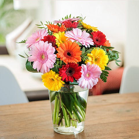 international florist gerberas