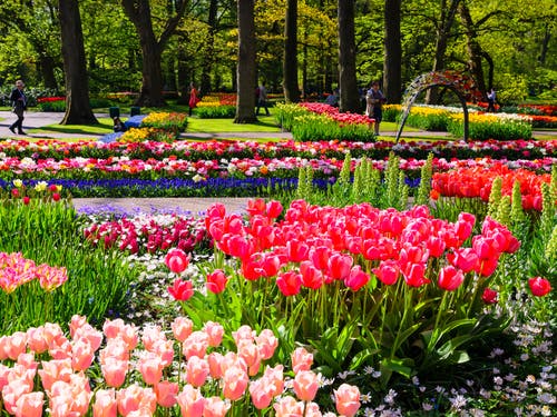 most beautiful european gardens keukenhof