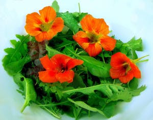 Tantalise your tastebuds and beautify your dishes with edible flowers