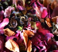 potpourri-753182__180