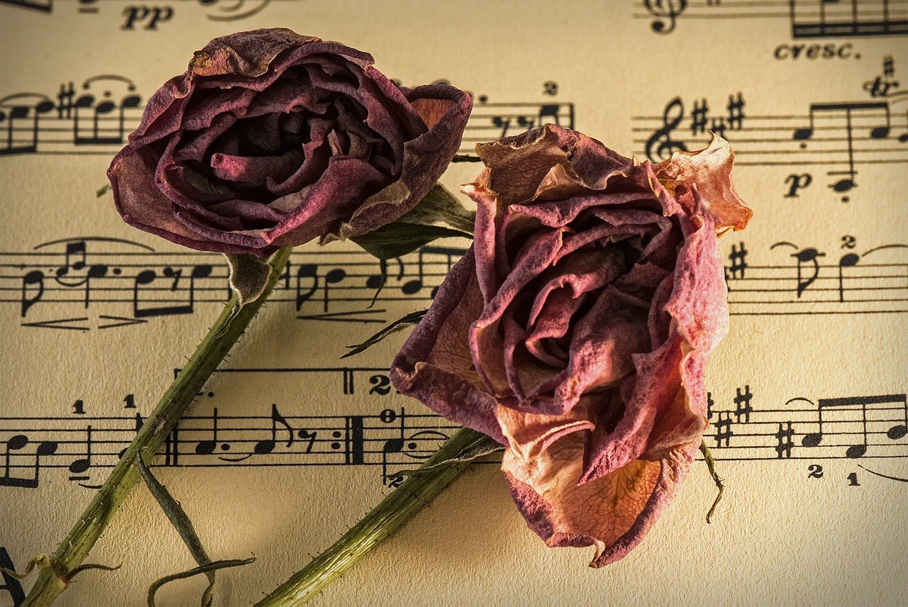 sheet-music-944796_1280