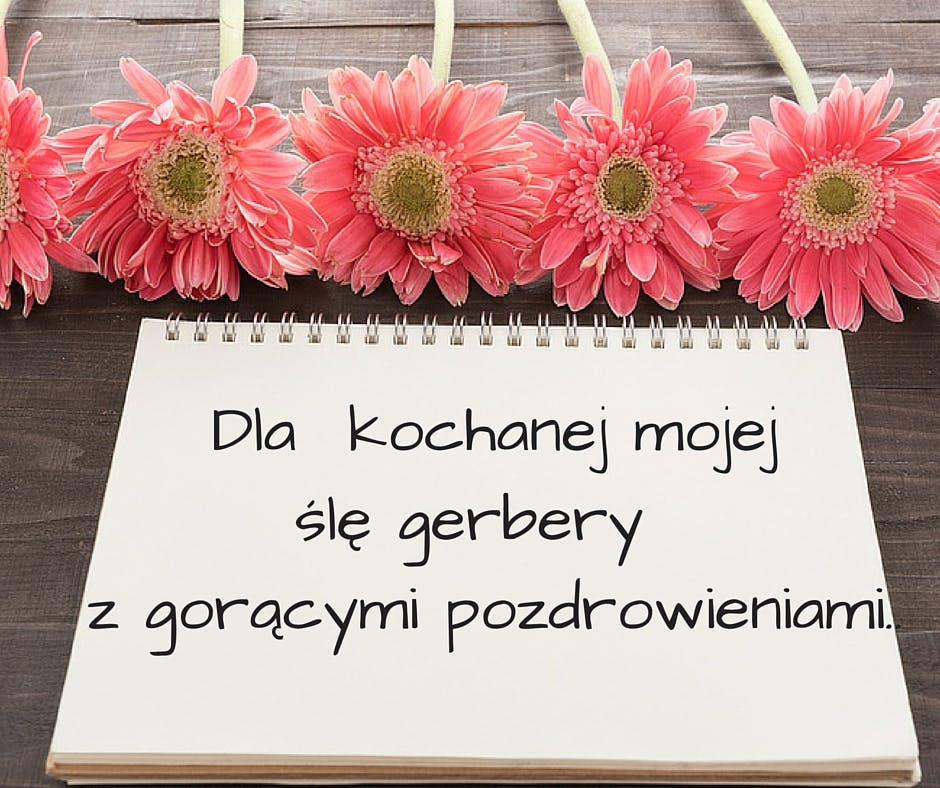 Dla kochanej mojejZ najlepszymi życzeniami , ślę gerbery