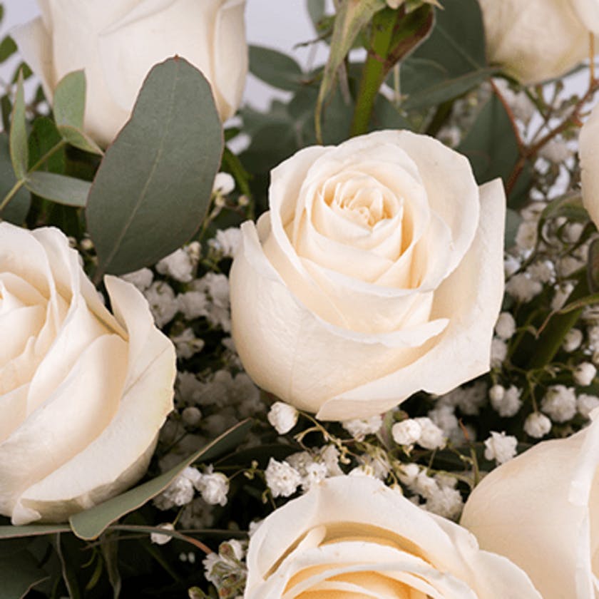 whtie roses and gypsophila