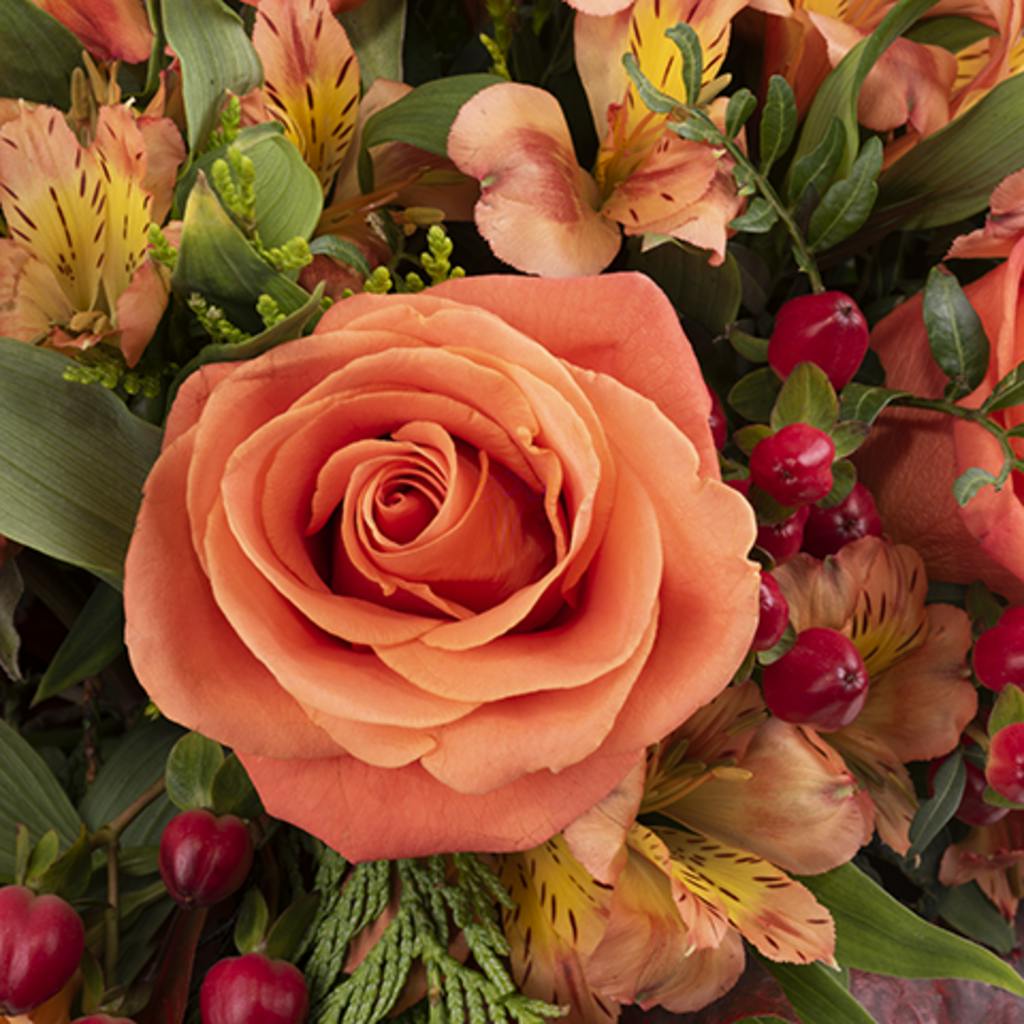 orange rose up close pumpkin bouquet