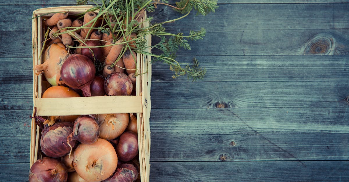 Ökologische Pflanzenschutzmittel für den Garten