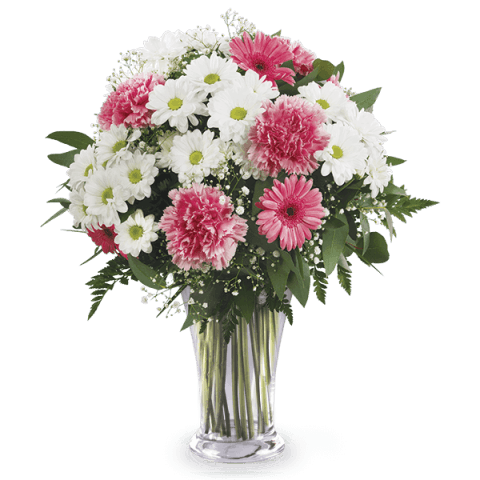 Cotton Candy: Gerberas and Carnations