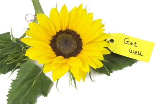 Get well sunflower