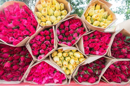 Range of red, pink and yellow bouquets of flowers