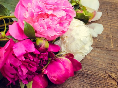 send flowers to france peonies