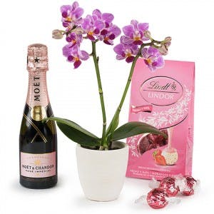 Gifts for Women's Day - Sweet Surprise