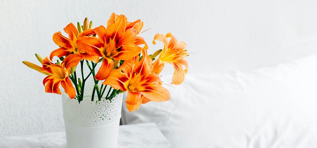 Leuchtend und kräftig: Die orangefarbene Lilie – ein bedeutungsvolles Geschenk für jeden Anlass