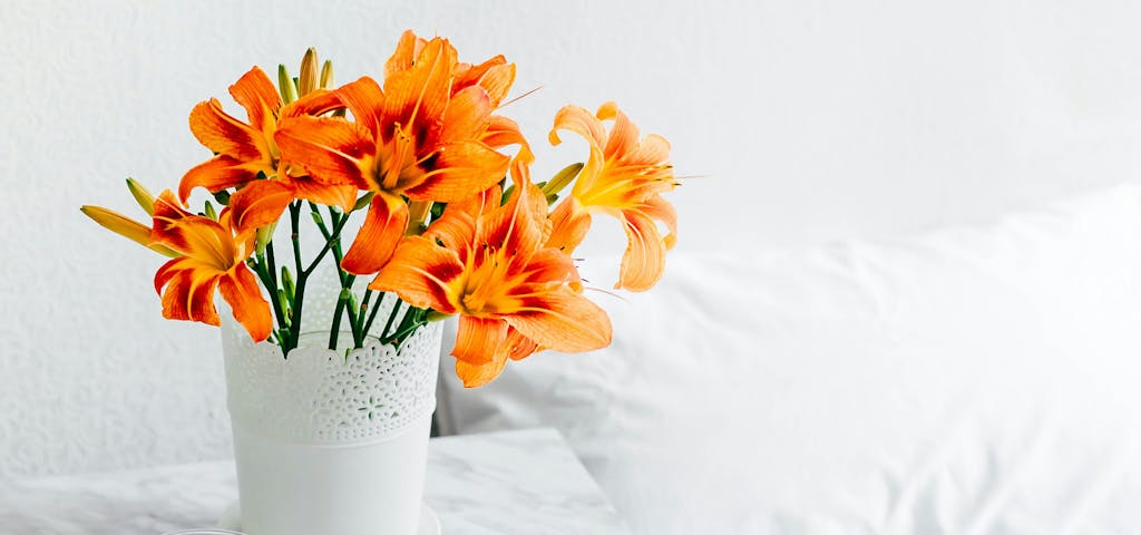 Lirio naranja brillante y audaz: un regalo significativo para cualquier ocasión