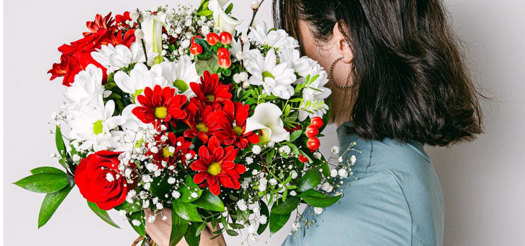 Die besten Pflanzen und Blumen für Ihre Weihnachtsgeschenke nach Hause geliefert Banner