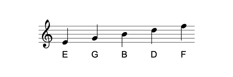 다섯 개의 선 위의 음들: 미(E), 솔(G), 시(B), 레(D), 파(F)