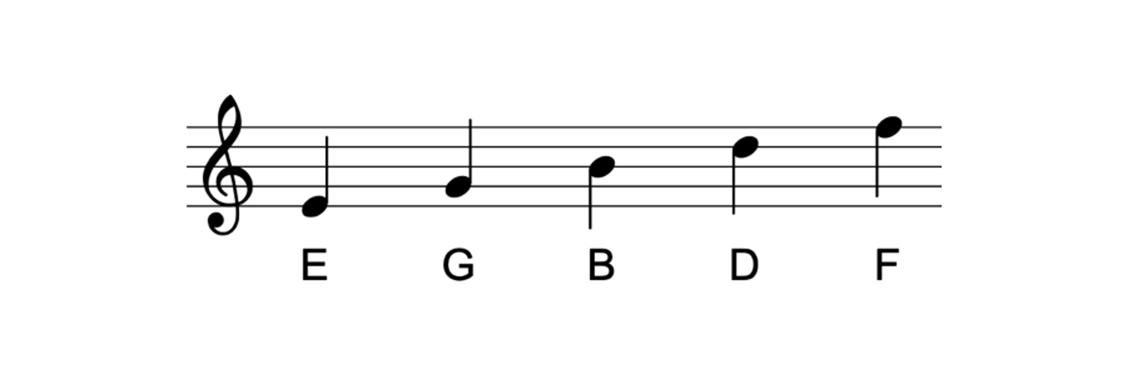 다섯 개의 선 위의 음들: 미(E), 솔(G), 시(B), 레(D), 파(F)