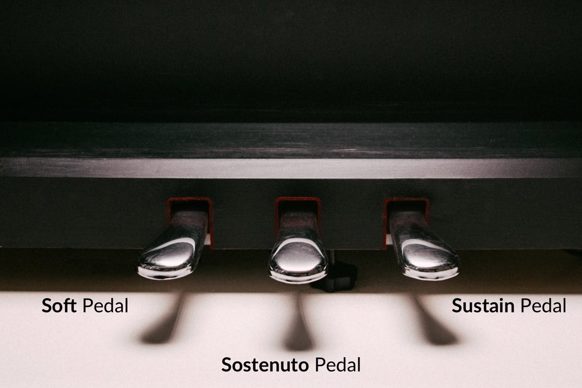 Soft pedal, sustenuto pedal and sustain pedal