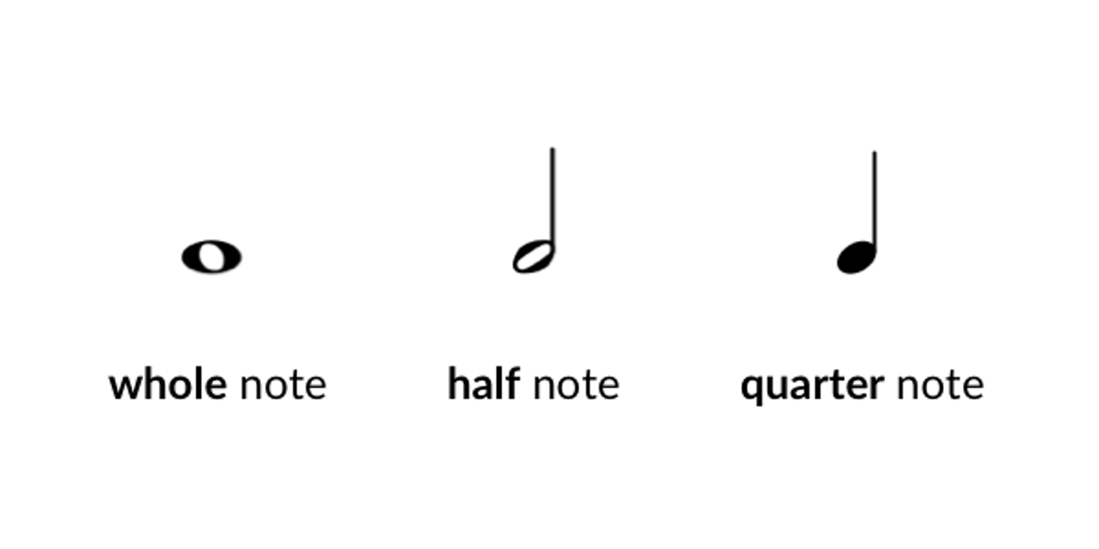 Whole, half, and quarter notes