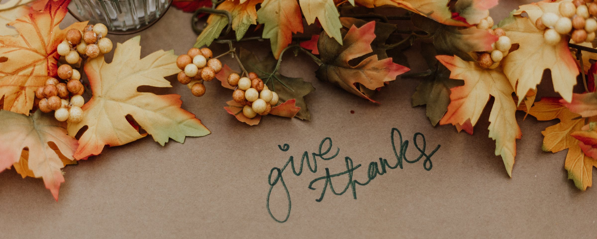 Thanksgiving leaves