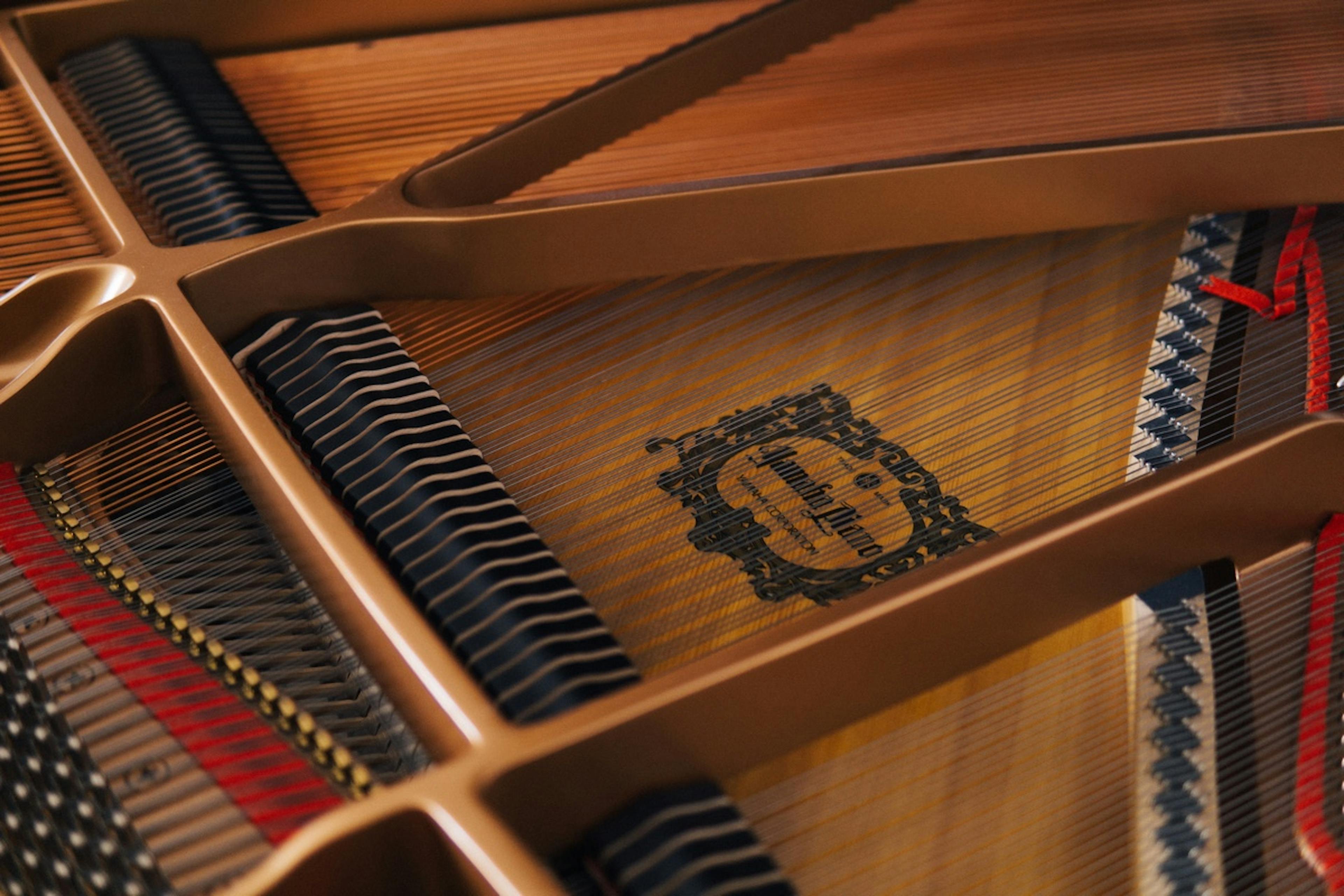 Strings and dampers in a grand piano