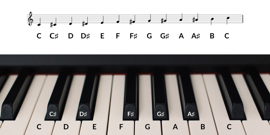 pictures of piano notes