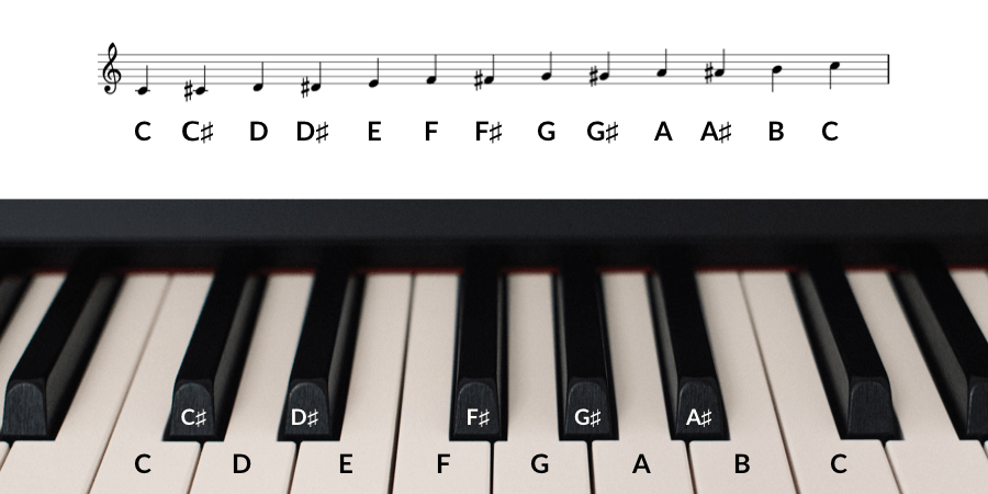 基础乐理 认识钢琴谱上的音符 节奏和强弱法 Flowkey