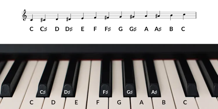 Note String Piano Piano Notes: The essentials for pianists and keyboard players | flowkey