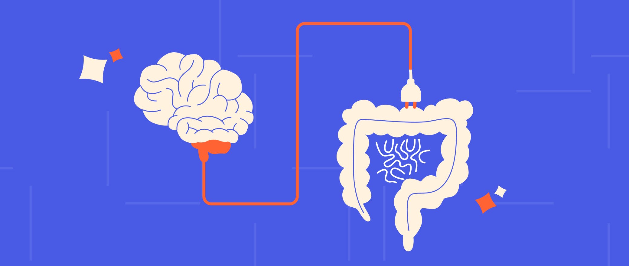 infographics representing how the brain and gut health are connected