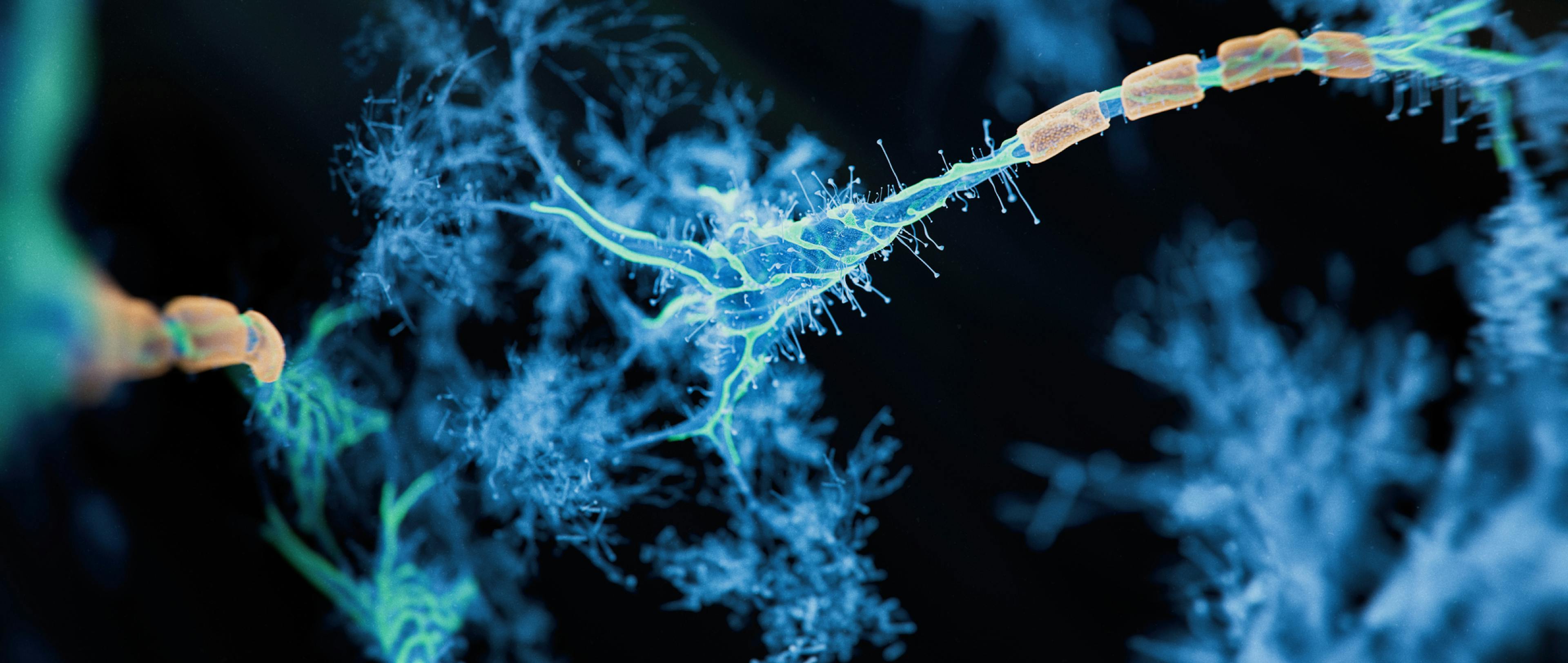 3D rendered image of a neuron cell network on a black background.