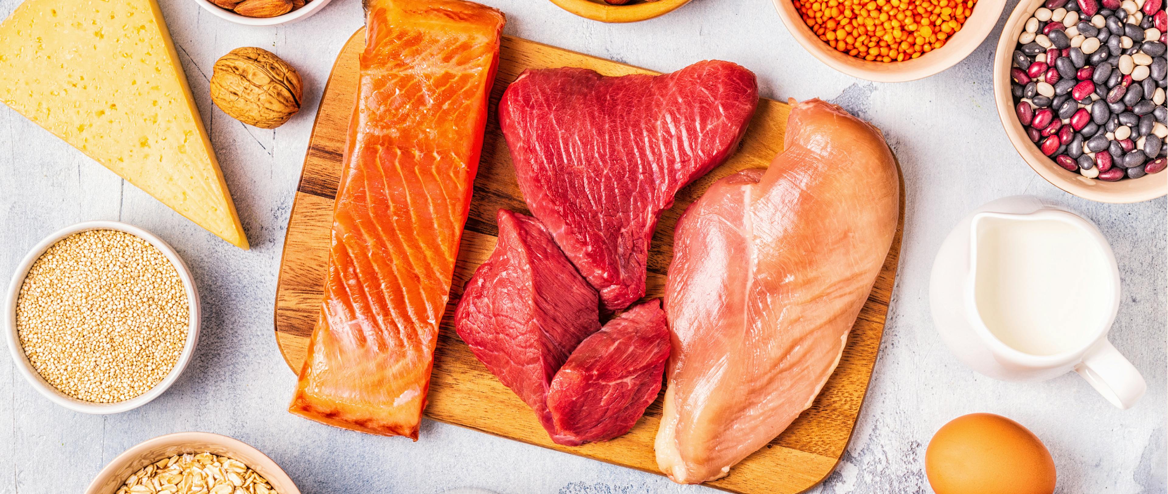 Sources of healthy protein - meat, fish, dairy products, nuts, legumes, and grains.