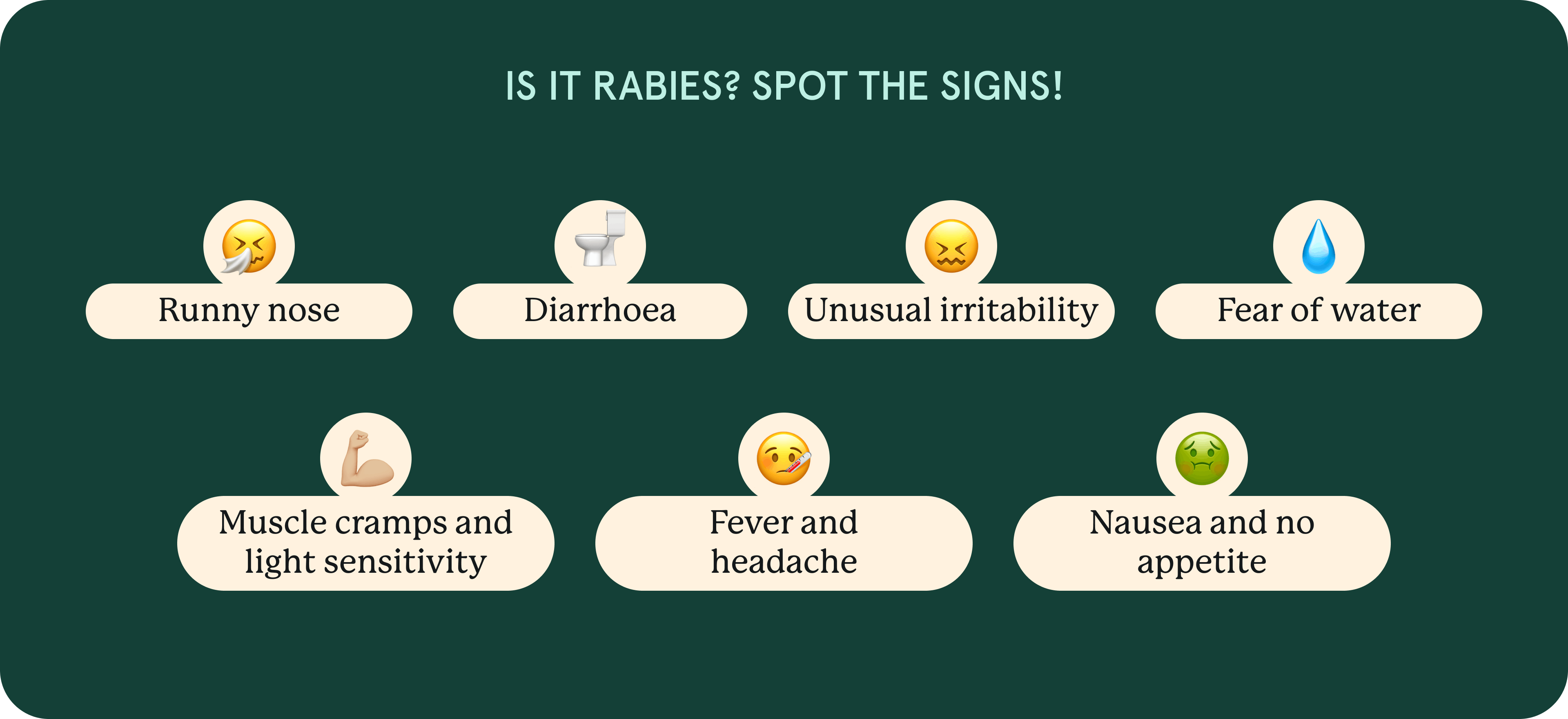 An infographic about rabies symptoms.