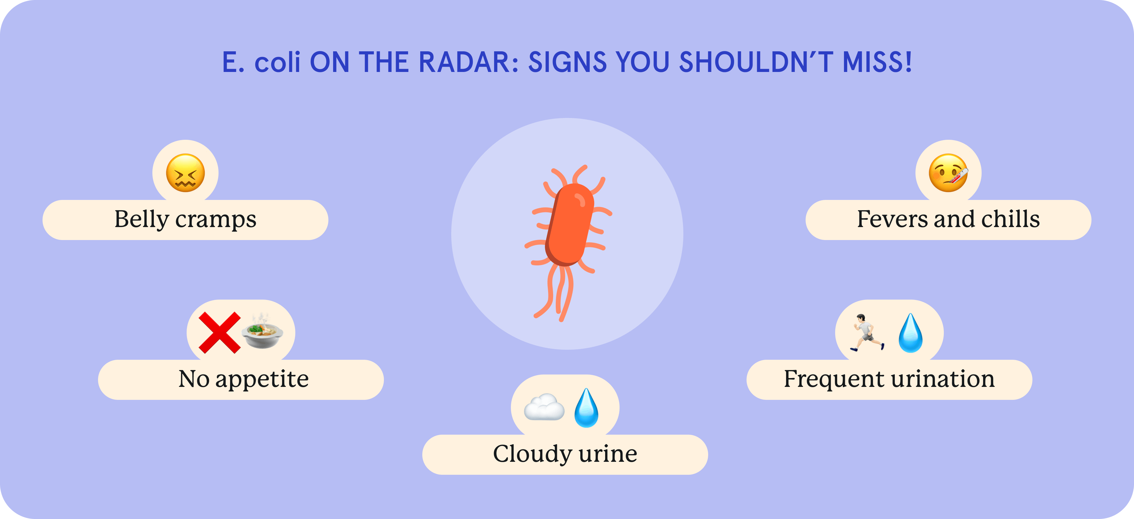 An infographic about E.coli infection symptoms.