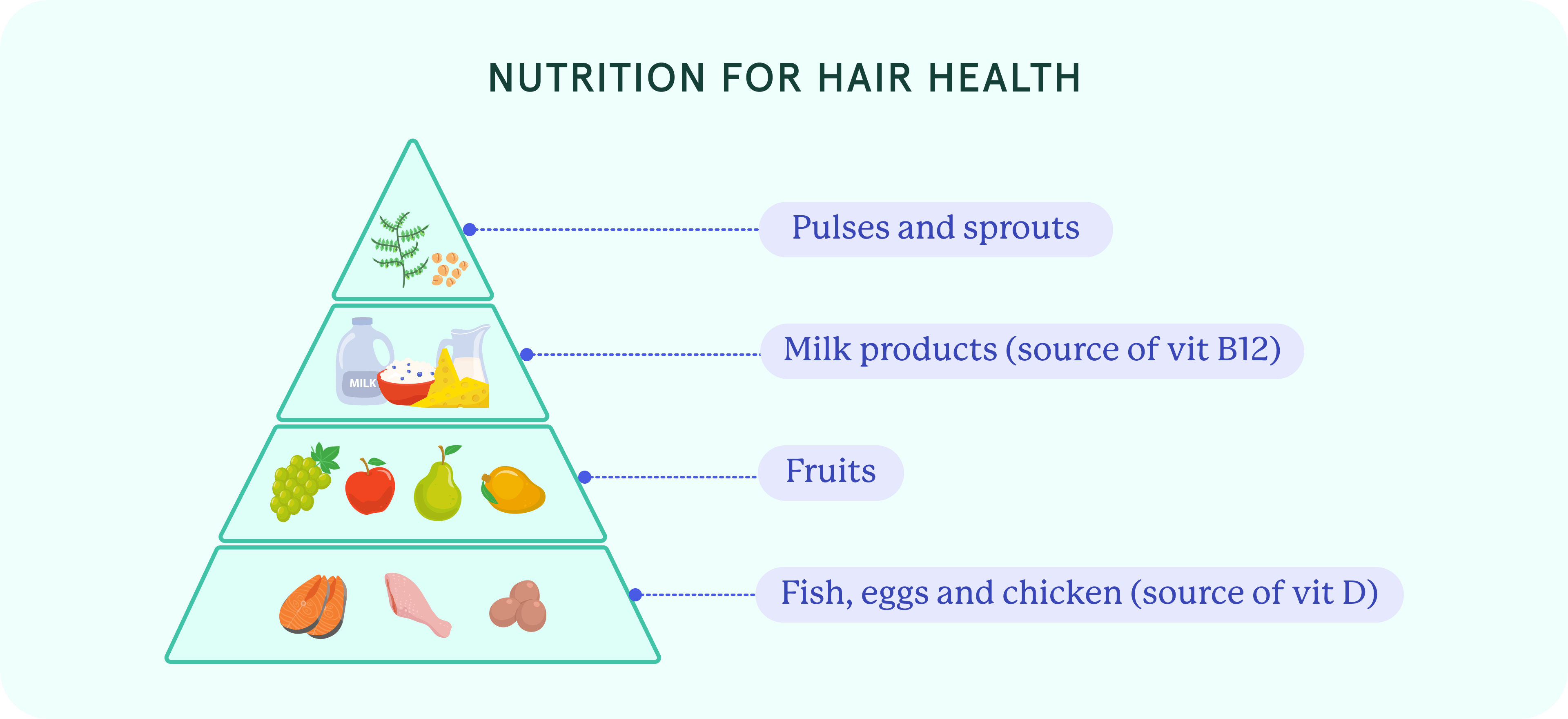 An infographic on nutrition for hair health.