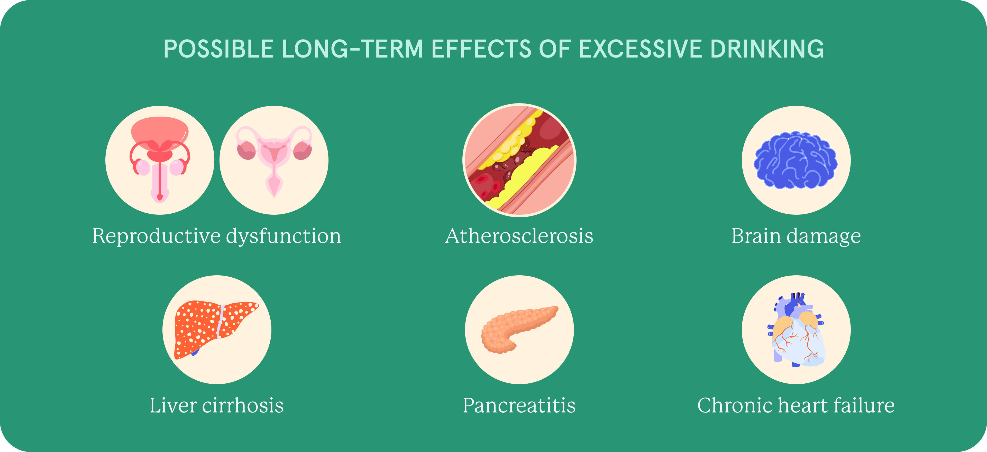 Infographic explaining the long term effects of excessive drinking.