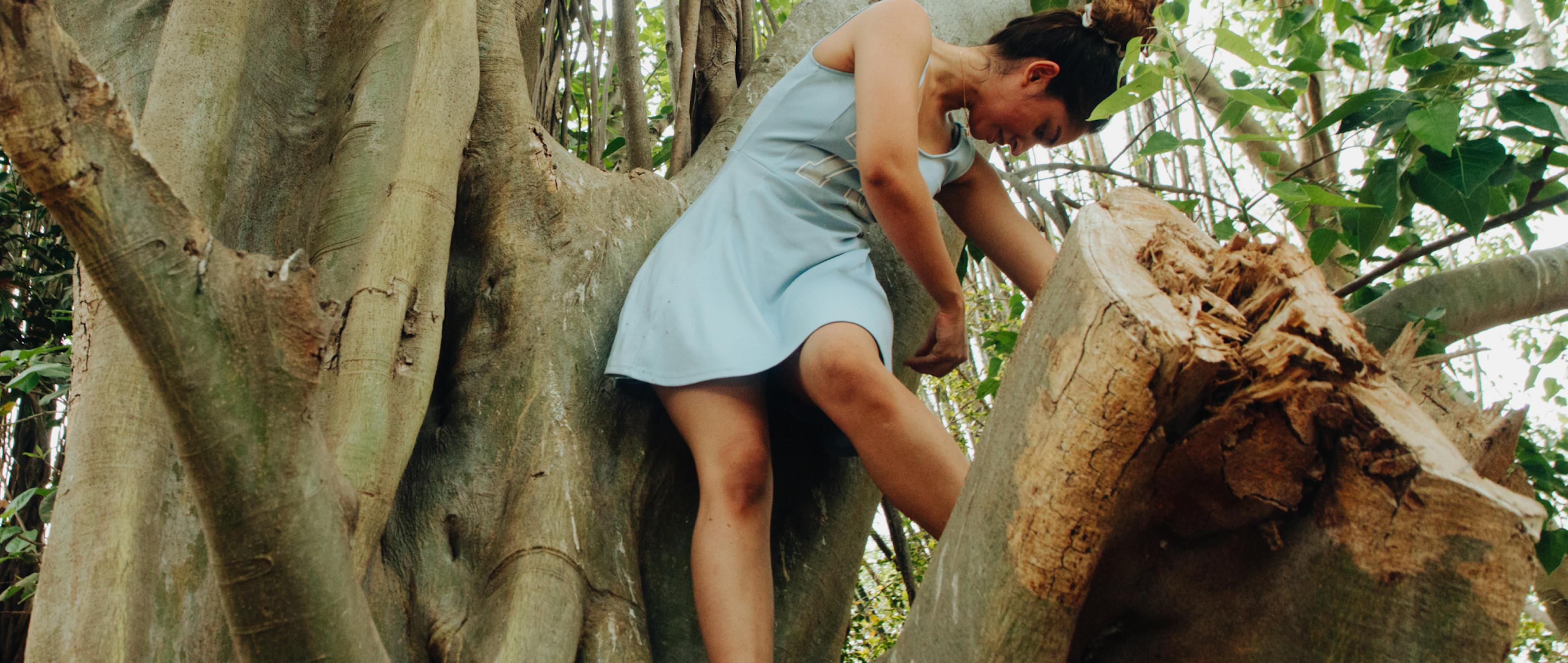 A girl has climbed a tree wearing a blue dress.