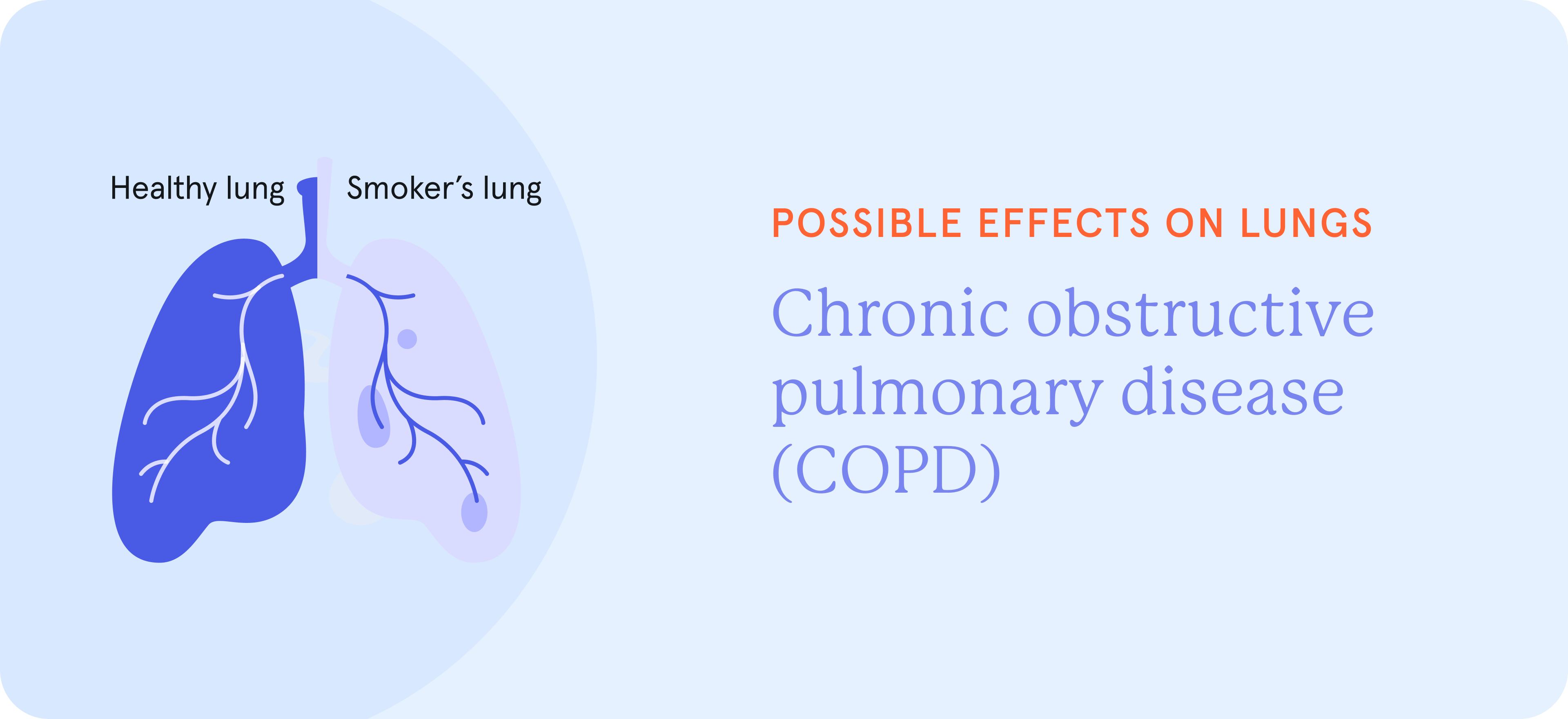 An infographic on possible effects on lungs due to smoking.