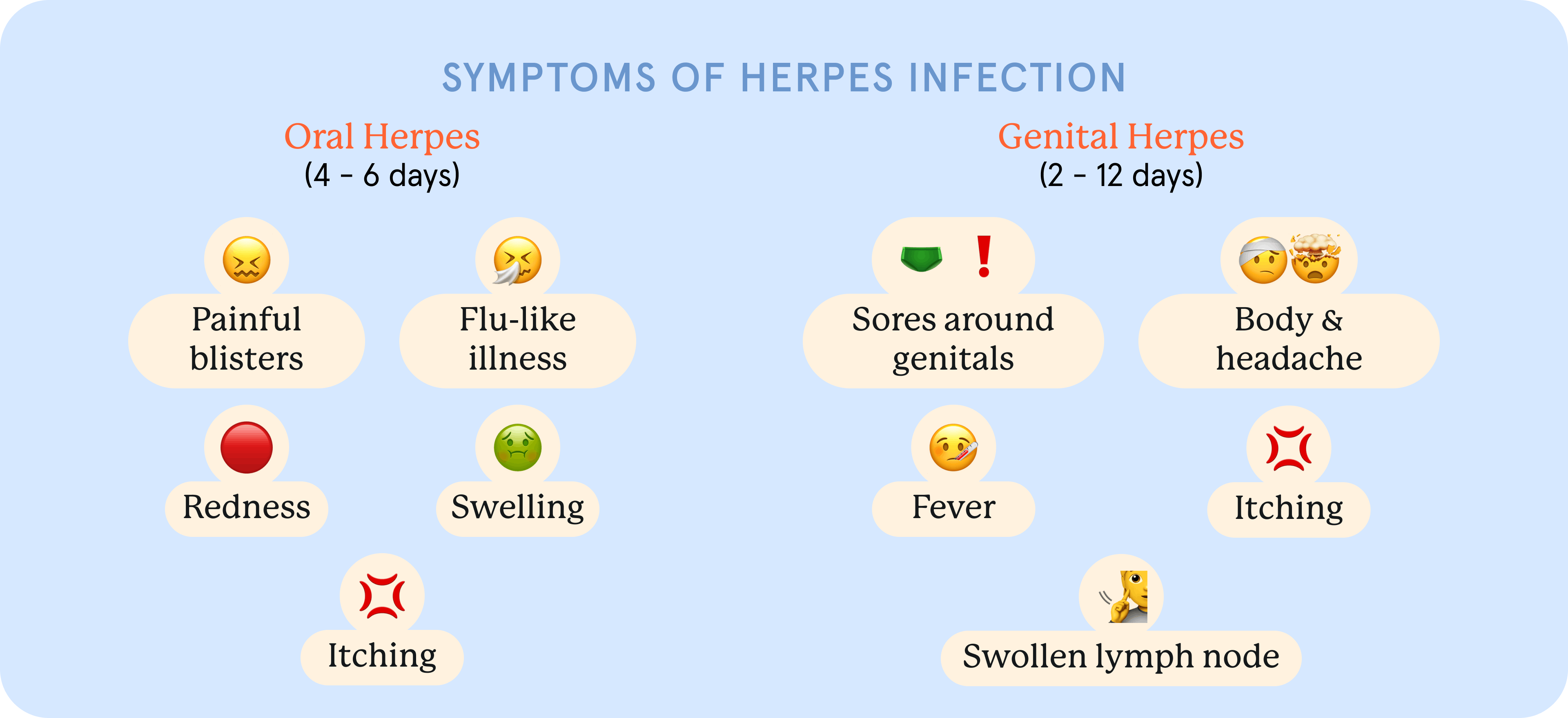 An infographic of symptoms of herpes infection.