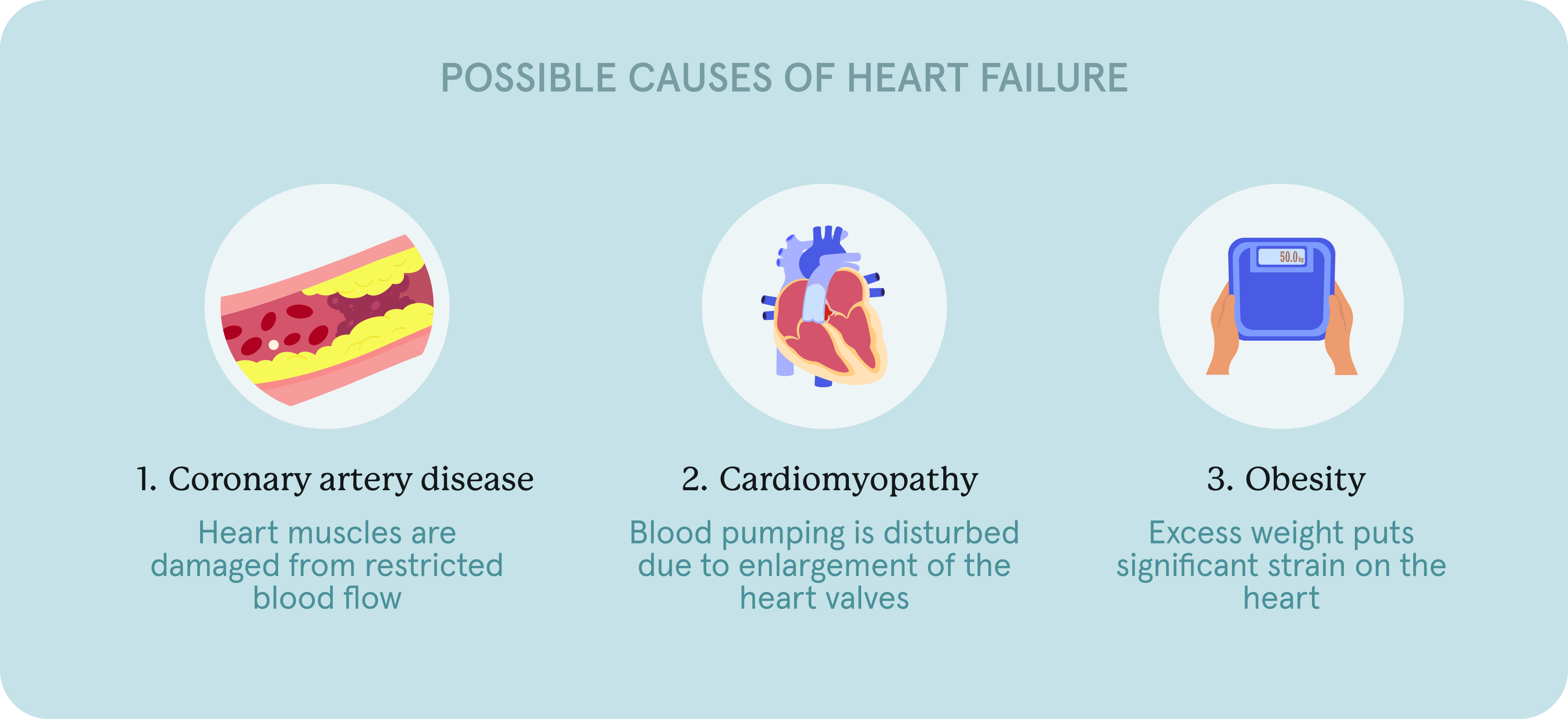 Possible causes of heart failure - primary