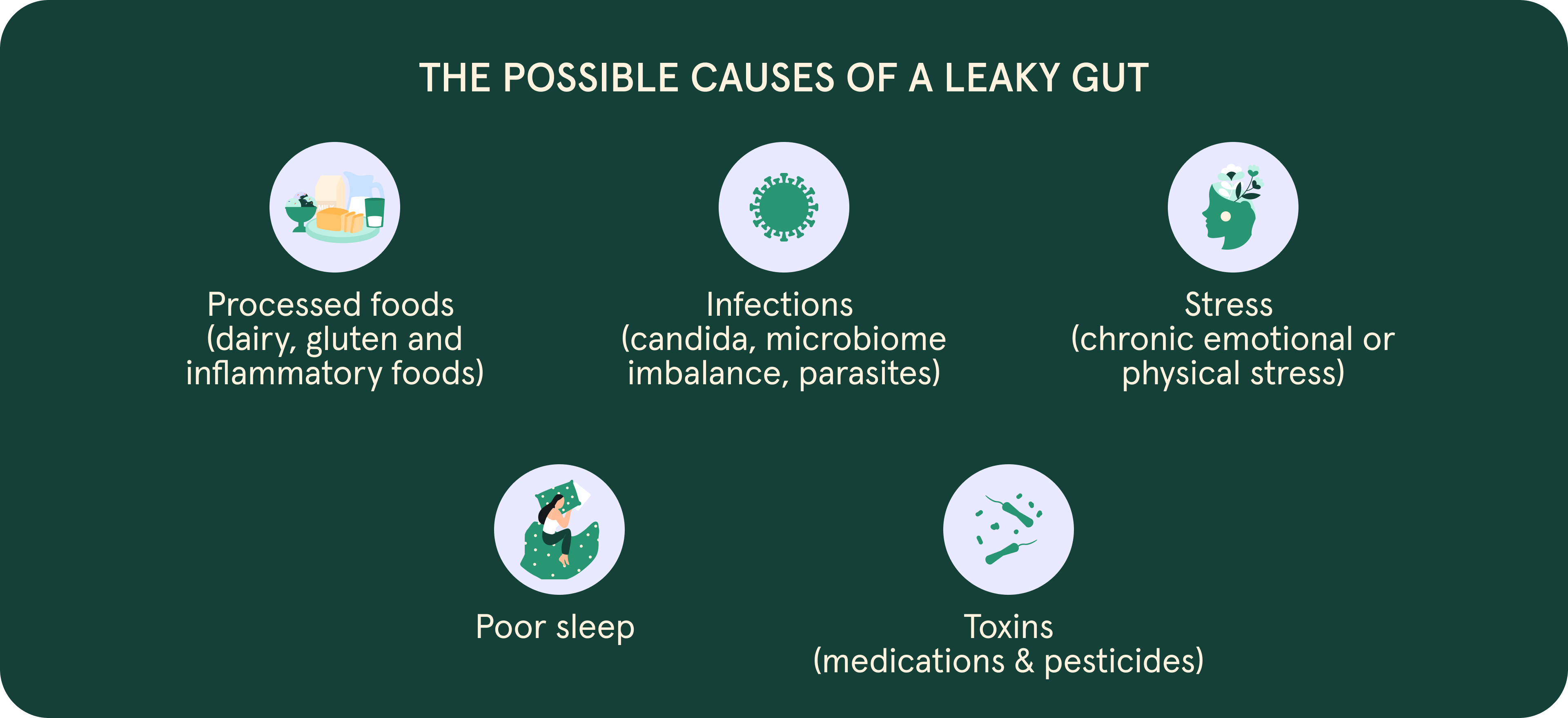 an infographic with illustrations showing the possible causes of a leaky gut