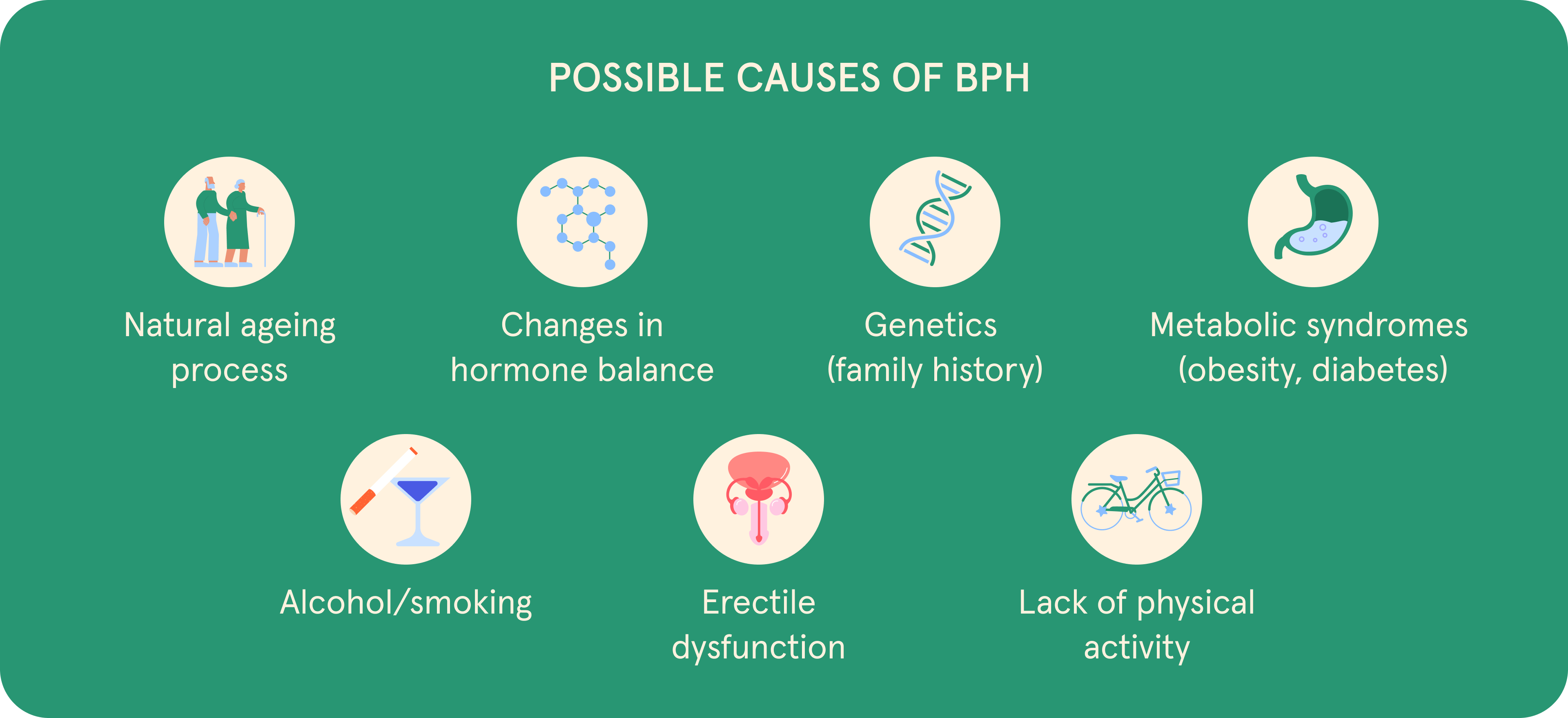 An infographic of Possible causes of BPH