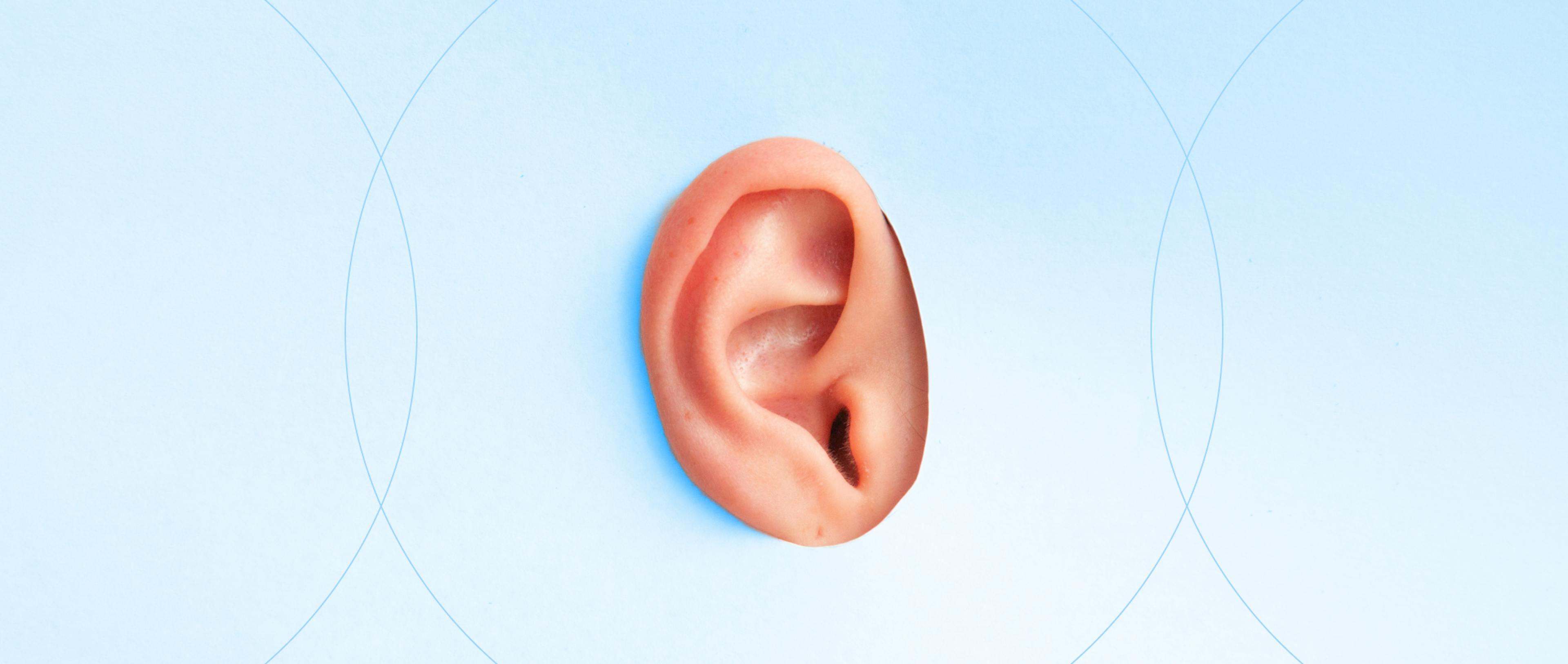 A cut-off ear depicting the need to clean your ears