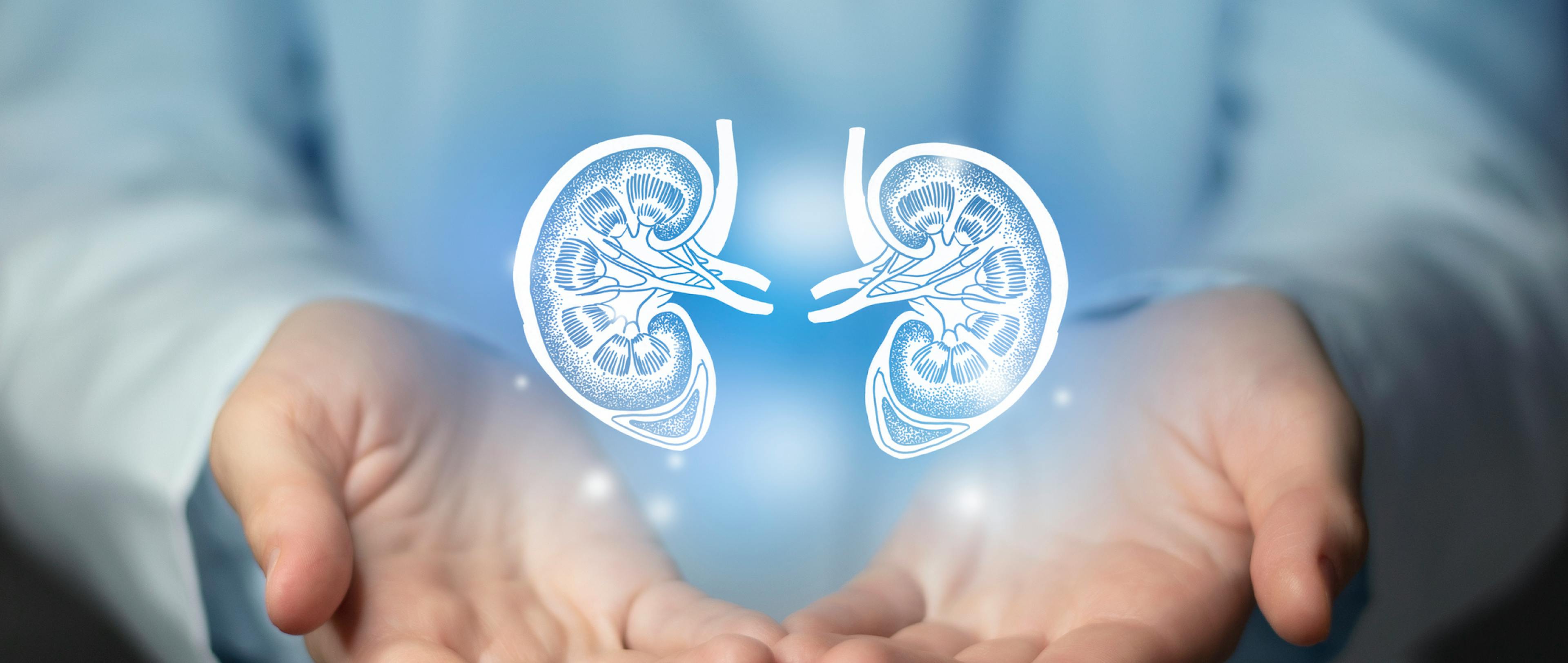 Nephrotic Syndrome: From Struggle to Strength in Kidney Health